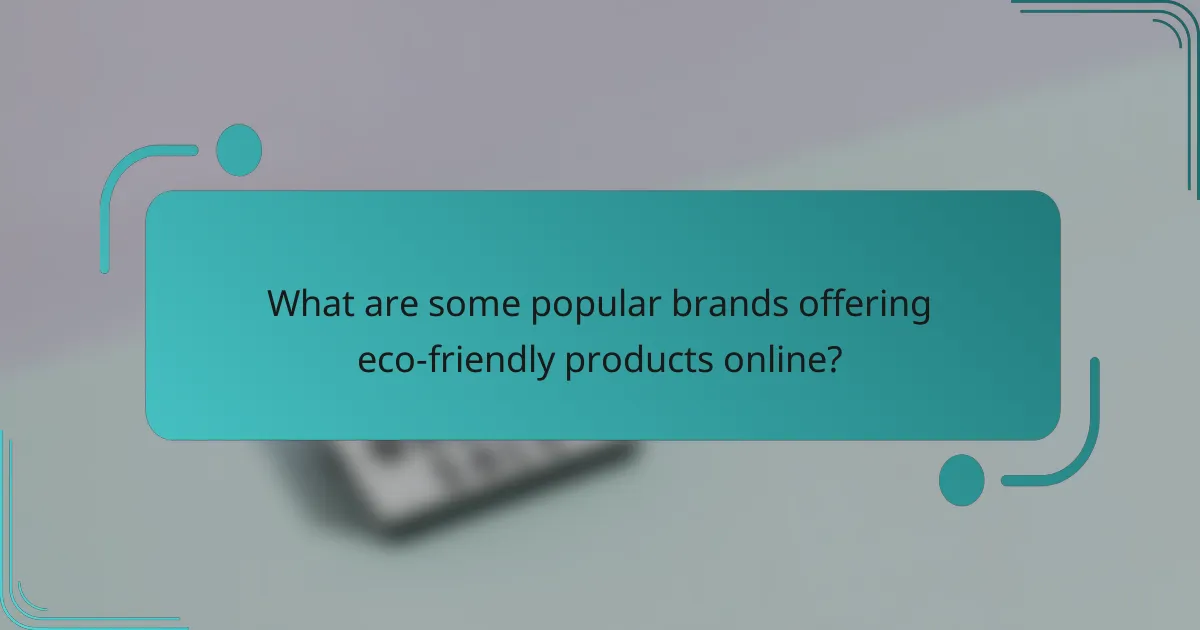 What are some popular brands offering eco-friendly products online?