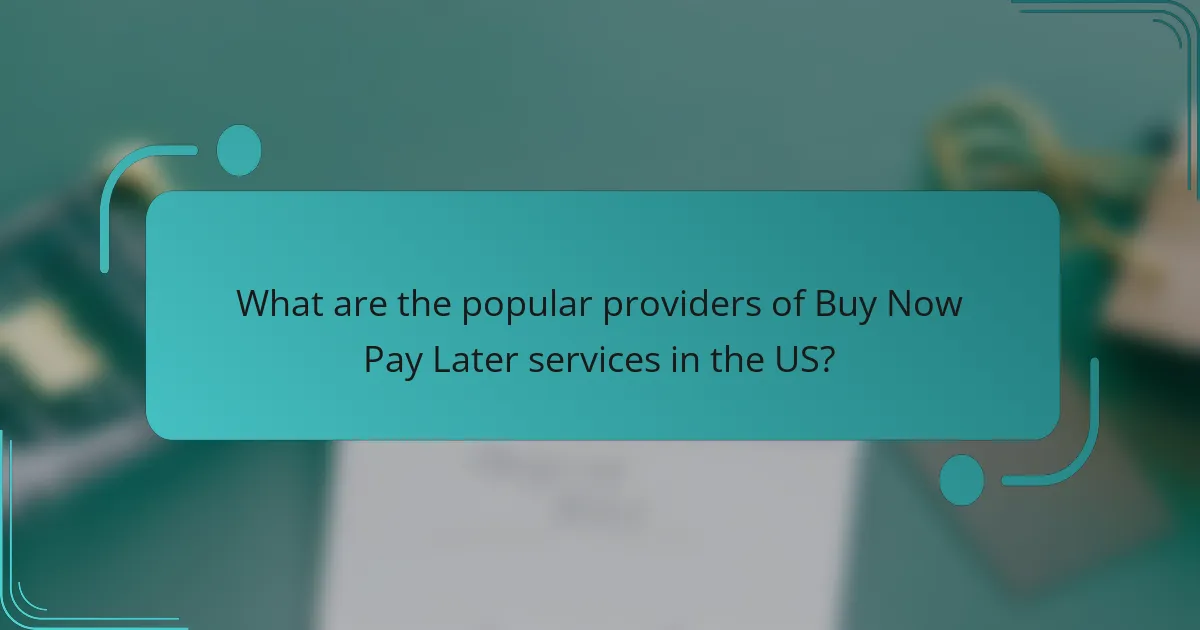 What are the popular providers of Buy Now Pay Later services in the US?