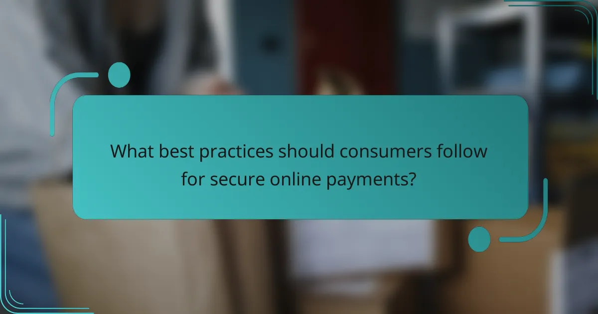 What best practices should consumers follow for secure online payments?