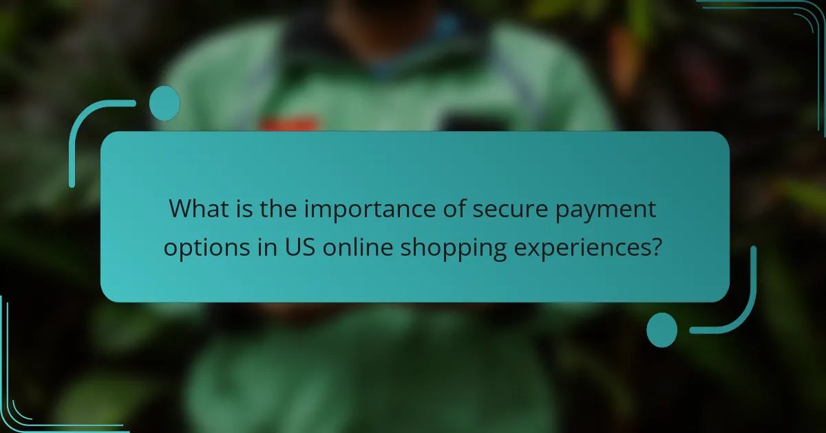 What is the importance of secure payment options in US online shopping experiences?