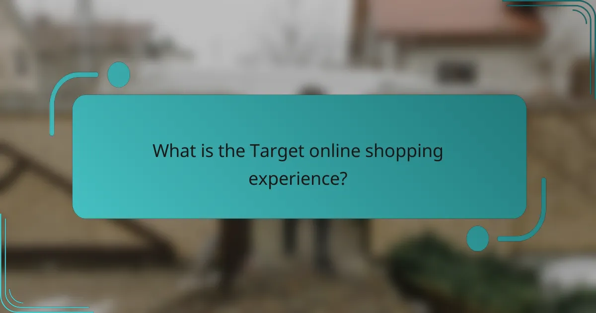 What is the Target online shopping experience?